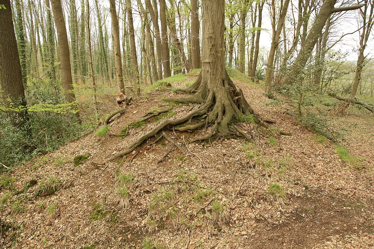 Mudanzas en Galapa Atlántico