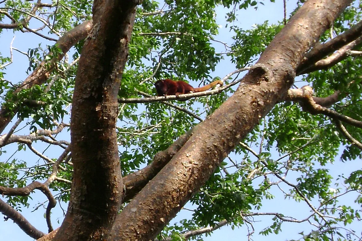 Mudanzas en Luruaco Atlántico
